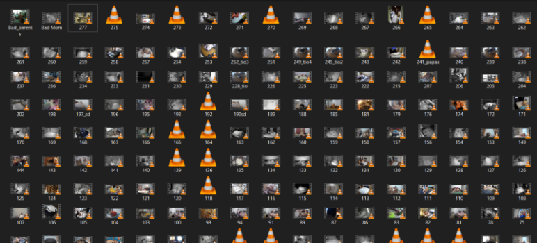 4545454.png 4545454.png