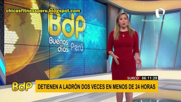 20201203_041134_[5.1  Panamericana HD]_[] 02 copia.jpg