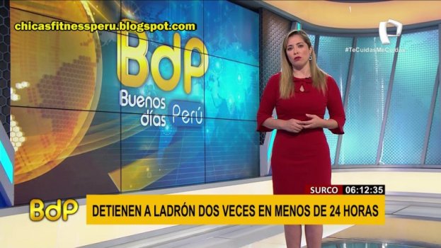 20201203_041134_[5.1  Panamericana HD]_[] 30 copia.jpg