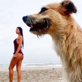 mgc.10~1607949463~2463981146001054637_1180896912.jpg mgc.10~1607949463~2463981146001054637_1180896912.jpg