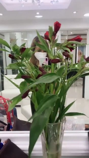 VideoCapture_20210107-181614.jpg