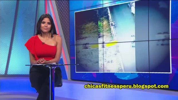 20210303_110902_[5.1  Panamericana HD]_[][(000322)2021-03-04-15-23-34].jpg