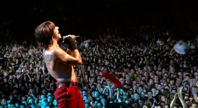 rhcp (2).jpg