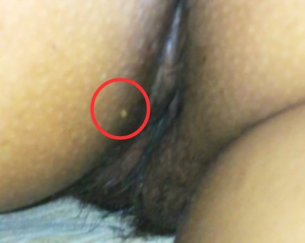 IMG_20210330_133803.jpg IMG_20210330_133803.jpg