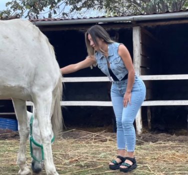 IMG_20210729_162221.jpg IMG_20210729_162221.jpg