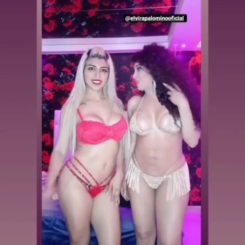 elvirapalominooficial_3.jpg elvirapalominooficial_3.jpg