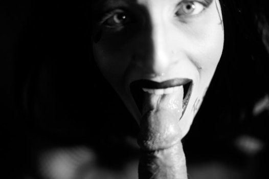 Stellarmorta_DSC08414_1573253060.jpg Stellarmorta_DSC08414_1573253060.jpg