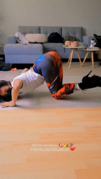 merly_morello_oficial (1).jpg