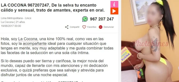 Robado.webp Robado.webp