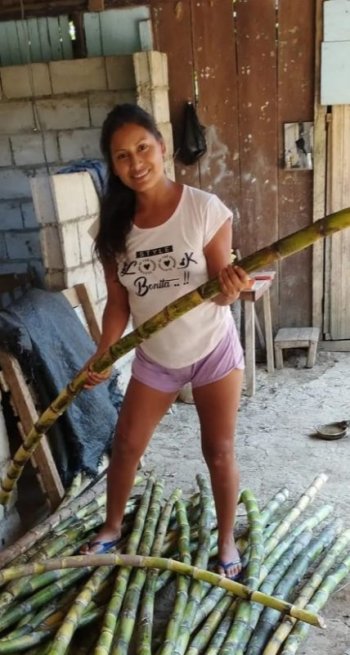 IMG_20230107_042641.jpg IMG_20230107_042641.jpg