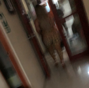 dxascfasv.PNG dxascfasv.PNG