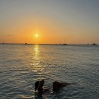 photo_2024-05-17_13-30-51 (2).jpg photo_2024-05-17_13-30-51 (2).jpg