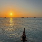 photo_2024-05-17_13-30-51.jpg photo_2024-05-17_13-30-51.jpg