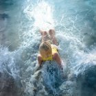 hayamiyung_1737097198_3547350868049771017_52203358040.jpg hayamiyung_1737097198_3547350868049771017_52203358040.jpg