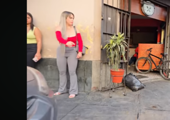 Screenshot_20250528-171920 (4).png