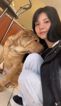 Screenshot_20250609_232221_Video Player.jpg