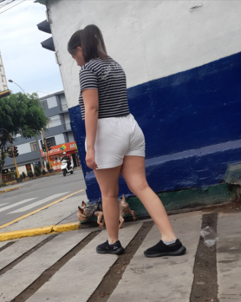 Captura de pantalla 2025-06-20 193256.png