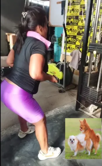 1754253587573.webp 1754253587573.webp