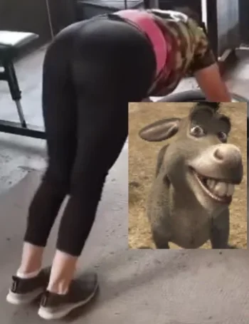 1754254571701.webp 1754254571701.webp