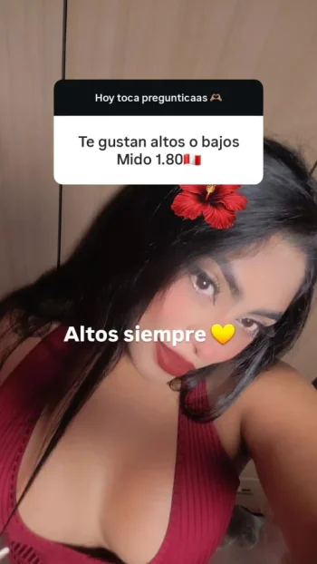 giane_gl02_respuesta.webp giane_gl02_respuesta.webp