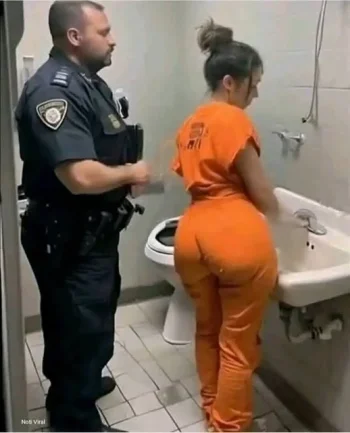 1760085066781.webp 1760085066781.webp