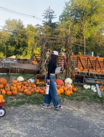 agare de iam milito (4).webp