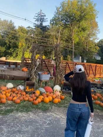 agare de iam milito (5).webp