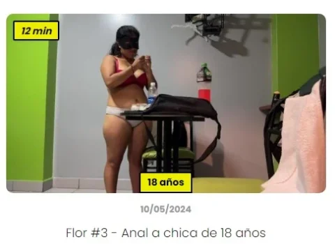 flor3.webp flor3.webp