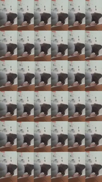 Untitled-Made with FlexClip (13).webp