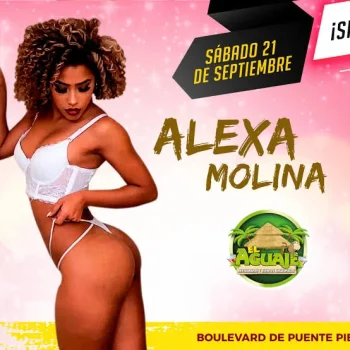 images - 2025-11-29T171008.197.webp