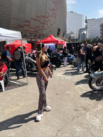 rrrrrrrrrrrrrrrrrrr (1).webp rrrrrrrrrrrrrrrrrrr (1).webp