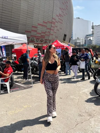 rrrrrrrrrrrrrrrrrrr (11).webp rrrrrrrrrrrrrrrrrrr (11).webp