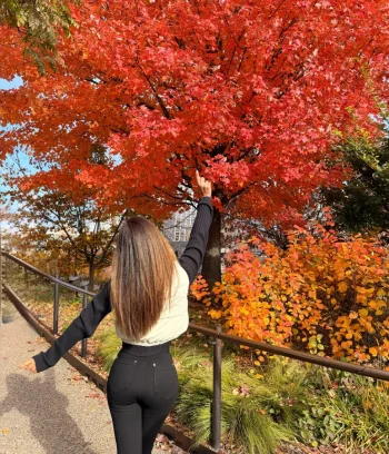 rrrrrrrrrrrrrrrrrrrrrrrrrrrrrr (9).webp