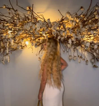 wwwwwwwwwwwwwwwwwww (1).webp