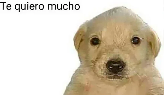 1769459041791.webp 1769459041791.webp