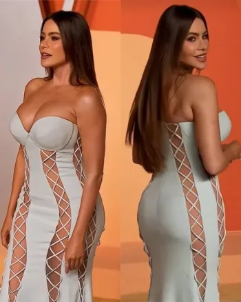 sofia-vergara-53-v0-6wh7yib7srtf1.webp