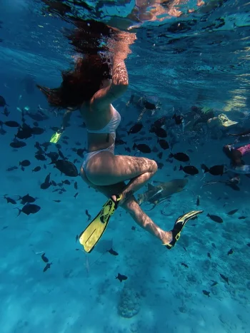 Nadando con tiburones, sin miedo y con el corazón lleno de adrenalina… la vida se vive así, i...webp