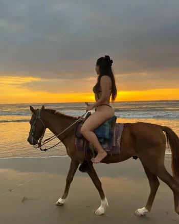 Potrona 🐎 (1).webp