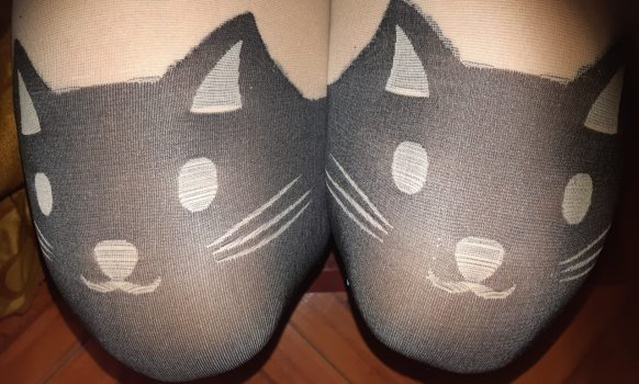 b9d071be-6fb4-4149-858b-d61871a5d94c.jpg b9d071be-6fb4-4149-858b-d61871a5d94c.jpg