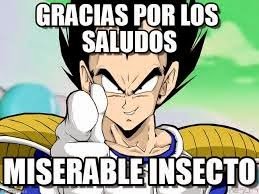 vegeta insecto gracias.jpeg vegeta insecto gracias.jpeg