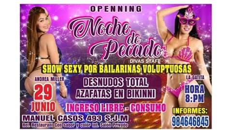 Se descargó la imagen en Messenger_Lite.jpg