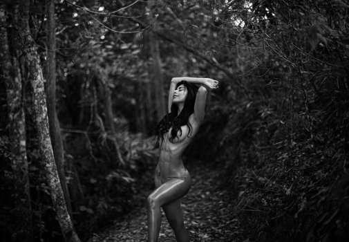 naidenfebrei - BzTFPAngo68.jpg