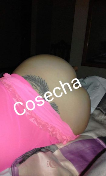 20190914_151024.jpg 20190914_151024.jpg