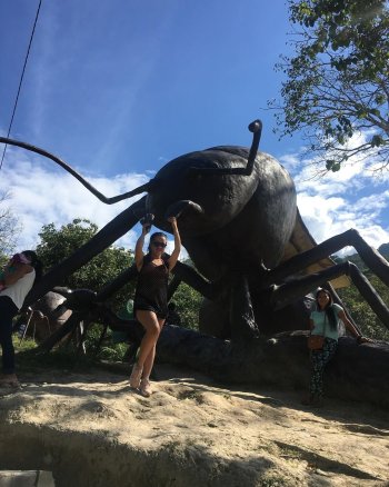 floritaconsuelo - BsWsROOAqnA.jpg