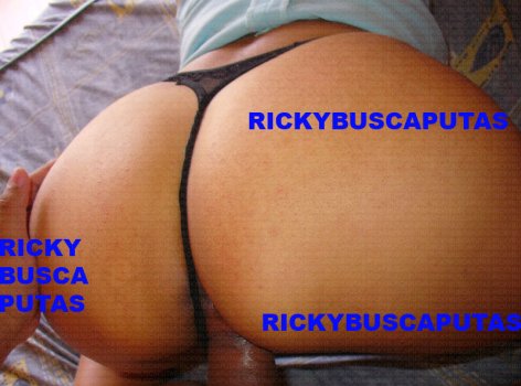 12 24041_80359_122_540lo.jpg