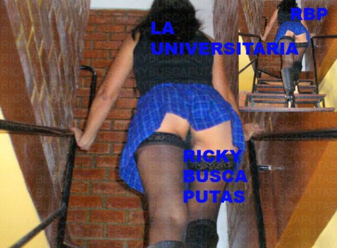 7 88958_LAUNIVERSITARIA0016copiacopia_122_463lo.jpg