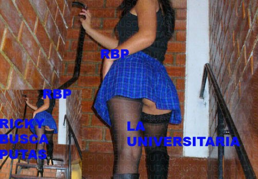 9 88970_LAUNIVERSITARIA0019copiacopia_122_87lo.jpg