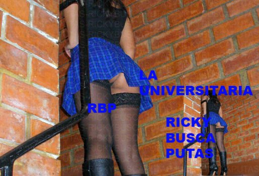 12 89009_LAUNIVERSITARIA0025copiacopia_122_381lo.jpg