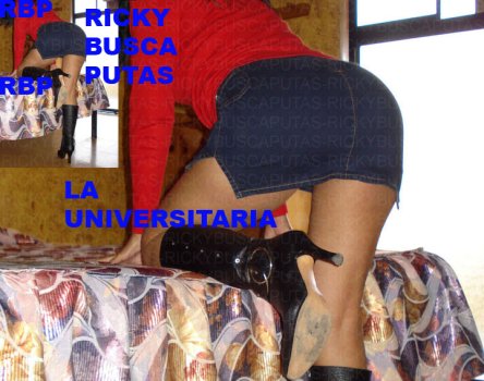 7 13437_imagen0108_123_455lo.jpg