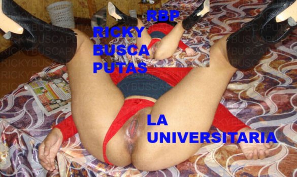 12 13475_imagen0111_123_66lo.jpg